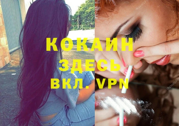 МДПВ Волосово