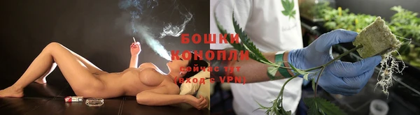 МДПВ Волосово